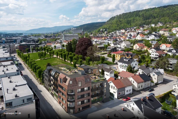 Engene Hage, Drammen